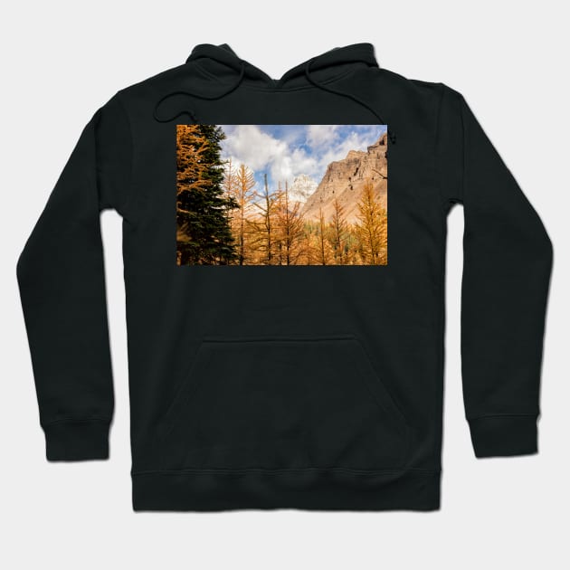 Mountains and Larches Hoodie by krepsher